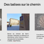 Des balises sur le chemin